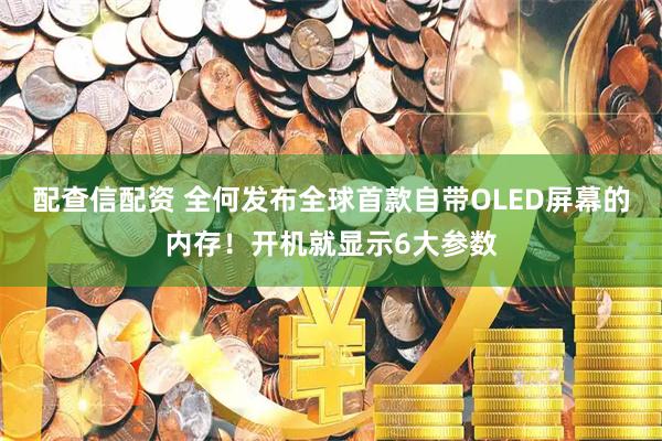配查信配资 全何发布全球首款自带OLED屏幕的内存！开机就显示6大参数